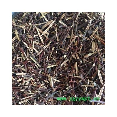 皂刺 大号 产地 湖南省 茗生春药材总公司 一手货源 七天无理由退换