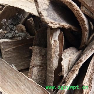 鸭脚木 统货 产地 广西壮族自治区图3