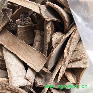 鸭脚木 统货 产地 广西壮族自治区图2