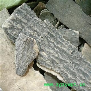 椿皮 椿树皮 统货 产地 山西省图2