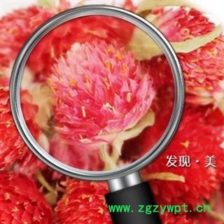 红巧梅 1000克 巧红梅图3