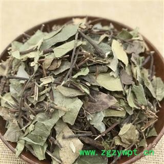 络石藤 纯青色 产地 河南省 精品好药 尽在七彩百草图2