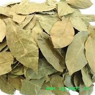 香叶 香叶 产地 广西壮族自治区玉林市玉州区图2