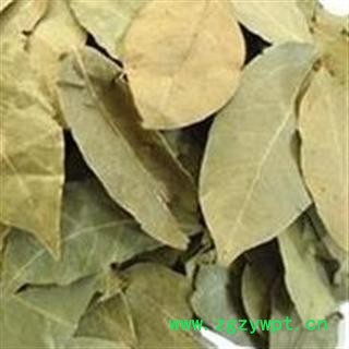 香叶 香叶 产地 广西壮族自治区玉林市玉州区图3