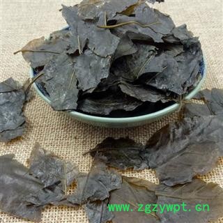 瑞森药材行毛冬青叶 统 产地 云南省今年新货图2