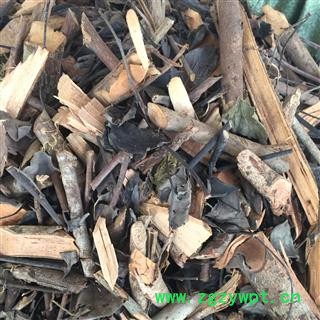 瑞森药材行鬼画符 黑面神 四季青 黑面叶 山夜兰图2