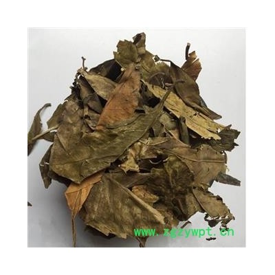 瑞森药材行中药材 山香圆叶 香山元叶 山香元叶 山香园叶 两指剑 千打锤 七寸钉