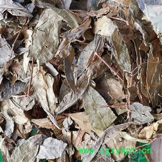 瑞森药材行中药材 山香圆叶 香山元叶 山香元叶 山香园叶 两指剑 千打锤 七寸钉图2