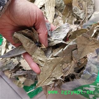 瑞森药材行中药材 山香圆叶 香山元叶 山香元叶 山香园叶 两指剑 千打锤 七寸钉图3