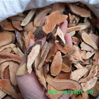 广西壮乡中草药 野生 全根 爬山虎 攀墙风 三角风 爬墙虎 小叶红藤 产地 广西柳州图2