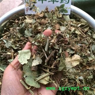 广西壮乡中草药 野生 扶芳藤 千斤藤 岩青藤 产地 广西柳州图2