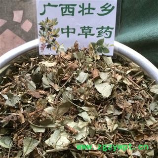 广西壮乡中草药 野生 扶芳藤 千斤藤 岩青藤 产地 广西柳州图3