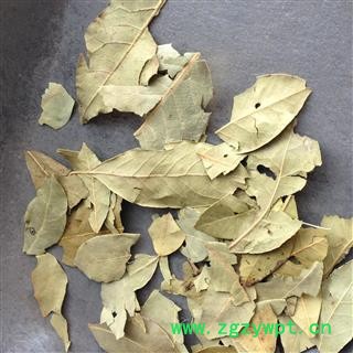 香叶 进口小香叶 统 产地 南非图2