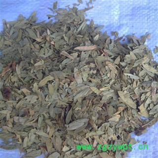 番泻叶 统 产地 安徽省图2