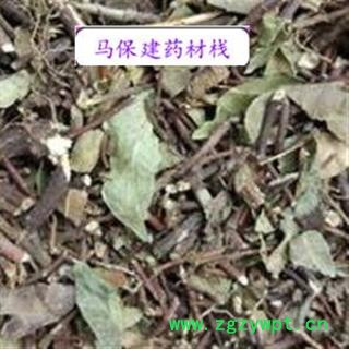 络石藤 络石藤统段 产地 河南省图2