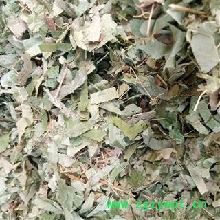 淫羊藿 淫羊藿叶 大叶淫羊藿 东北货 仙灵脾 产地 辽宁省图2