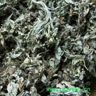 艾叶 好统货，经营各种中草药 产地 安徽亳州图3