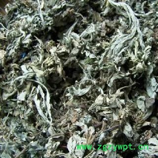 艾叶 好统货，经营各种中草药 产地 安徽亳州图2