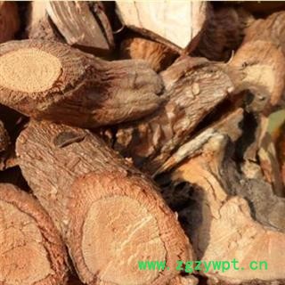 葡萄藤 野葡萄藤 产地 安徽省图2