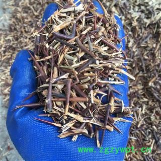 皂角刺 精选 皂角刺 天丁 产地 湖北省图3