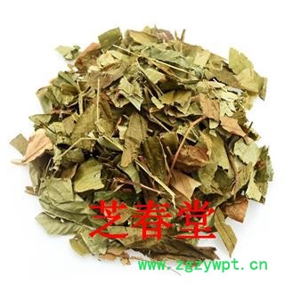 供应葫芦茶 别名：葫芦叶 剃刀柄 金剑草 咸鱼草图2