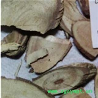 吉康药业中药材 大树跌打 黄桐  今年新货图2