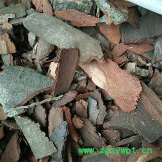 地枫皮 地枫  统货 产地 广西壮族自治区图2