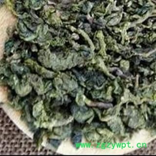 山绿茶 苦茗 绿茶 茶用精品茶 产地 安徽省 买好药材找娟子 专业批发图4