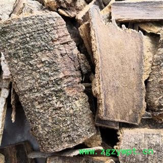 新辉药业中药材喜树皮 喜树根皮另有喜树果图2