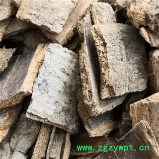 新辉药业中药材喜树皮 喜树根皮另有喜树果图3