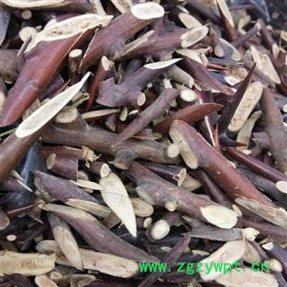 皂刺 老皂角刺选货 （全海绵心）产地 山东省图3