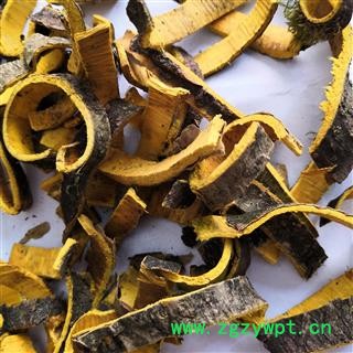 新辉药业优质黄柏 新货无硫图3