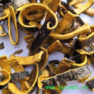 新辉药业优质黄柏 新货无硫图2