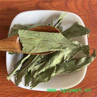 橘叶 桔叶橘子叶橘叶桔子叶可搭配桔络桔核中药材橘叶图2