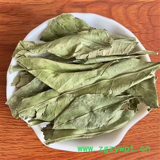 橘叶 桔叶橘子叶橘叶桔子叶可搭配桔络桔核中药材橘叶图4