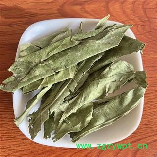 橘叶 桔叶橘子叶橘叶桔子叶可搭配桔络桔核中药材橘叶图3