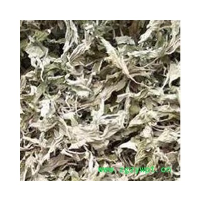 艾叶 艾叶统片 产地 山东省