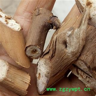 葡萄藤叶 野葡萄藤 产地 河南省平顶山市汝州市图2