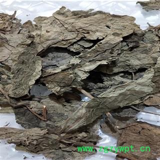 吉康药业臭梧桐叶 臭梧桐 八角梧桐 追骨风新货无硫颜色好图3