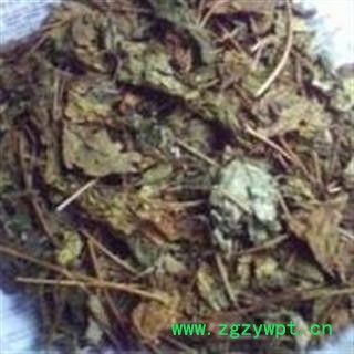 吉康药业臭梧桐叶 臭梧桐 八角梧桐 追骨风新货无硫颜色好图2