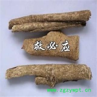 救必应 白兰香 九层皮 白银树皮 羊不吃 白木香 正品保证质量 安品堂图4