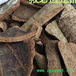 救必应 白兰香 九层皮 白银树皮 羊不吃 白木香 正品保证质量 安品堂图2