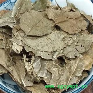 吉康药业黄皮叶 油皮 油梅产地广东新货颜色好15天无理由退货图2