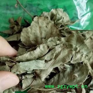 新辉药业中药材青钱柳叶 摇钱树 麻柳图2