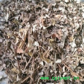 新辉药业正品木豆叶图3