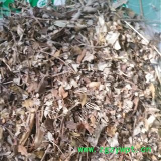 新辉药业正品木豆叶图2