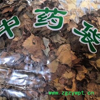 新辉药业野生山楂叶  纯天然新货图2