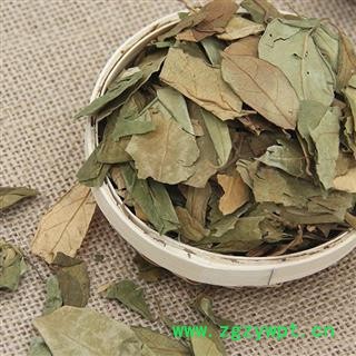 圣草康园武靴叶武靴叶 匙羹藤 武靴叶茶图2