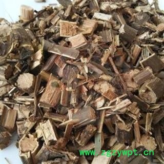 圣草康园中药陆英 木蒴藋 接骨草  走马前 走马风 八棱麻 八里麻 臭草图2