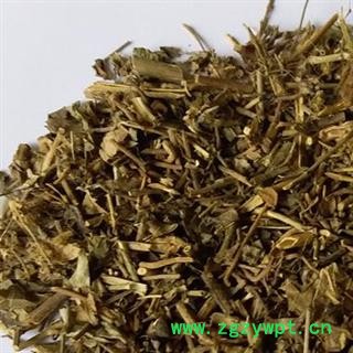 圣草康园蝴蝶草 肺形草 铁交杯 双飞蝴蝶 肺形草，大肺形草 飞行草 肺型草图2